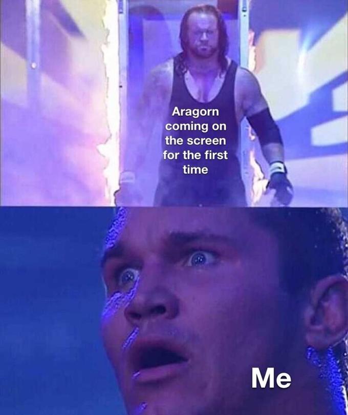 Aragorn coming on the screen for the first time Me