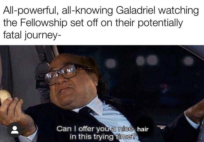 All-powerful, all-knowing Galadriel watching the Fellowship set off on their potentially fatal journey- Can I offer you a nice hair in this trying time?