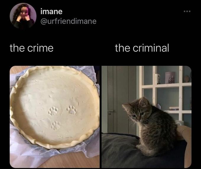 imane @urfriendimane the crime the criminal