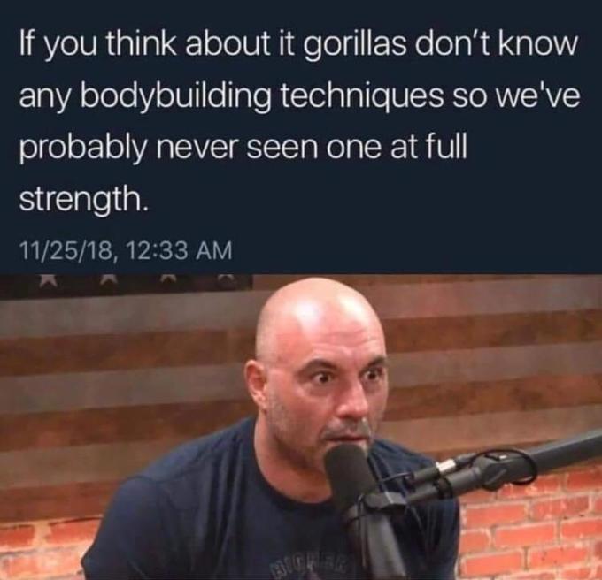 If you think about it gorillas don't know any bodybuilding techniques so we've probably never seen one at full strength. 11/25/18, 12:33 AM