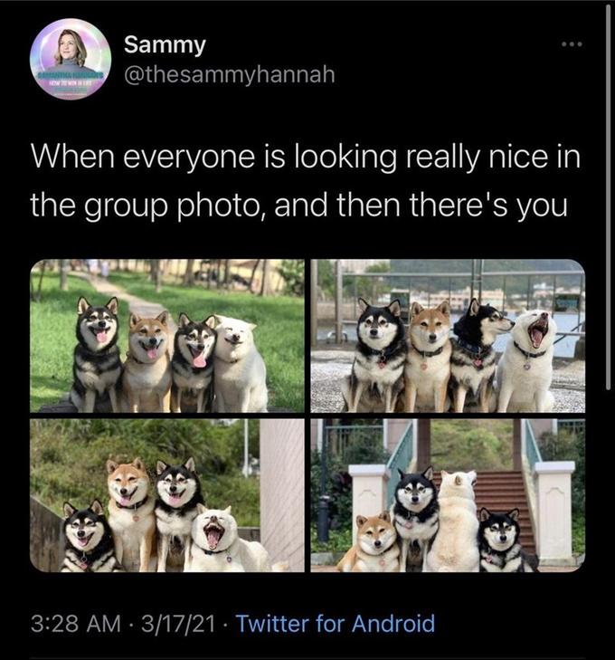 Sammy @thesammyhannah SAMANTHA NA HOW TO WIN E When everyone is looking really nice in the group photo, and then there's you 3:28 AM · 3/17/21 · Twitter for Android