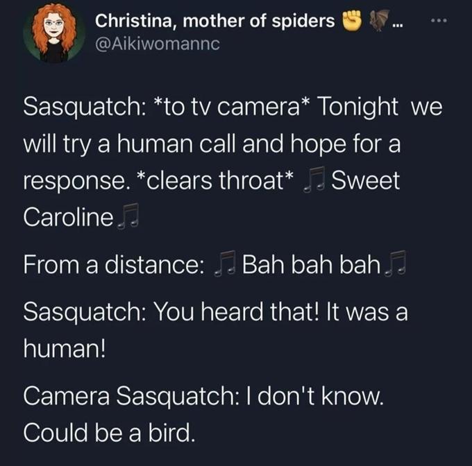 Christina, mother of spiders @Aikiwomannc Sasquatch: *to tv camera* Tonight we will try a human call and hope for a response. *clears throat* Sweet Caroline From a distance: Bah bah bah. Sasquatch: You heard that! It was a human! Camera Sasquatch: I don't know. Could be a bird.