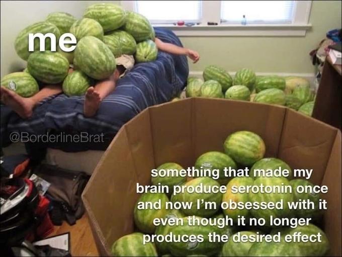 me @BorderlineBrat something that made my brain produce serotonin once and now l'm obsessed with it even though it no longer produces the desired effect