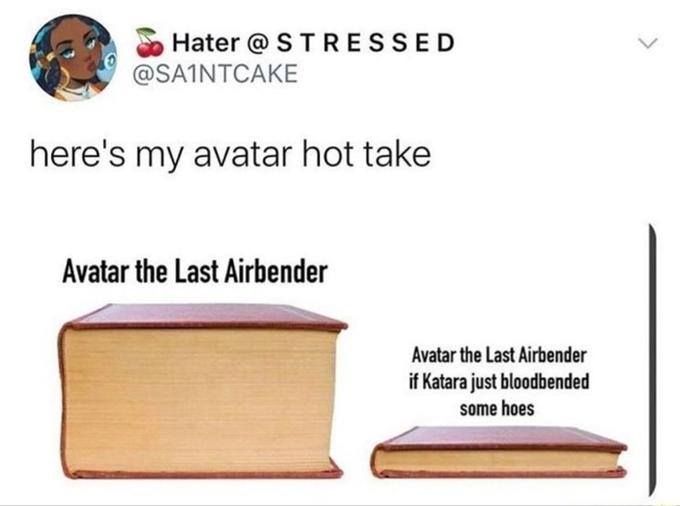 Hater @ STRESSED @SA1NTCAKE here's my avatar hot take Avatar the Last Airbender Avatar the Last Airbender if Katara just bloodbended some hoes
