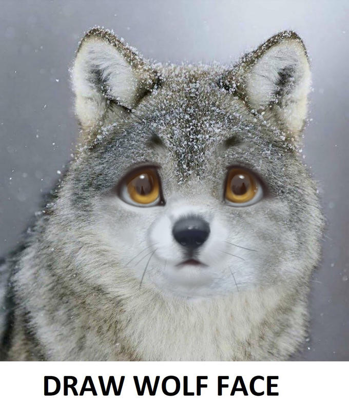 DRAW WOLF FACE
