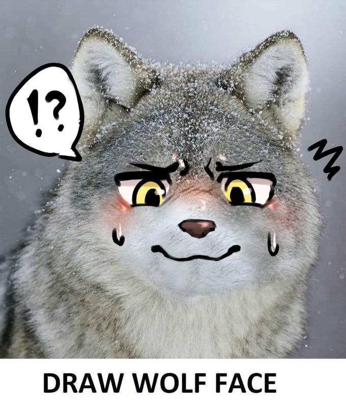 1? DRAW WOLF FACE
