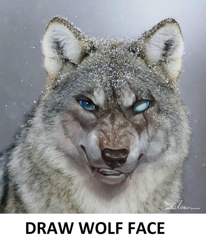 Zalven DRAW WOLF FACE