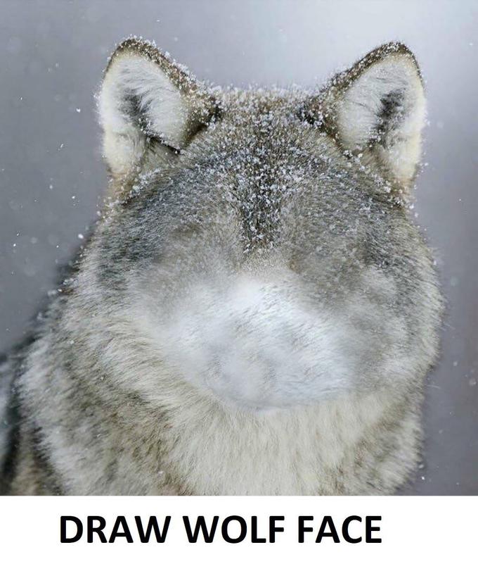 DRAW WOLF FACE