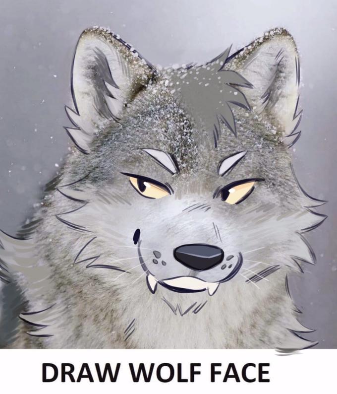 Draw wolf face meme 🐺 by harborsorts | Draw Wolf Face | Know Your Meme