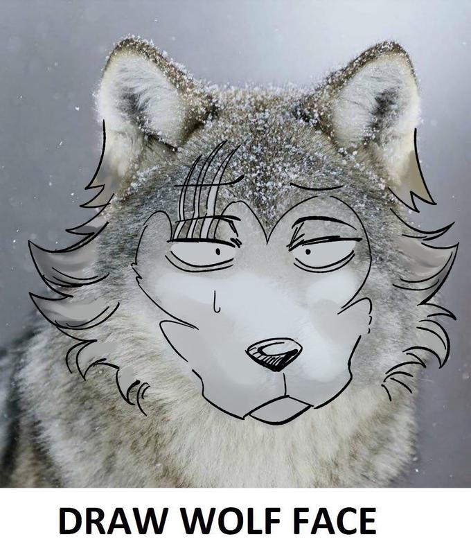 draw cat face meme by duskinova on DeviantArt