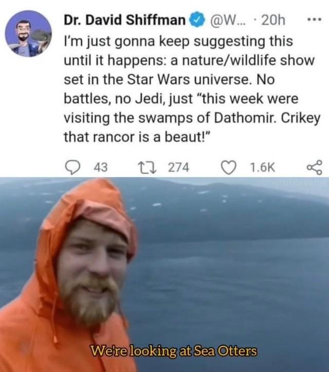 @W.. · 20h I'm just gonna keep suggesting this until it happens: a nature/wildlife show set in the Star Wars universe. No Dr. David Shiffman battles, no Jedi, just "this week were visiting the swamps of Dathomir. Crikey that rancor is a beaut!" 43 17 274 1.6K Dkevanie We're looking at Sea Otters