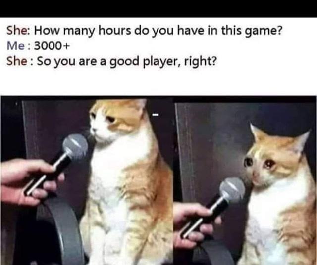 She: How many hours do you have in this game? Me: 3000+ She : So you are a good player, right?