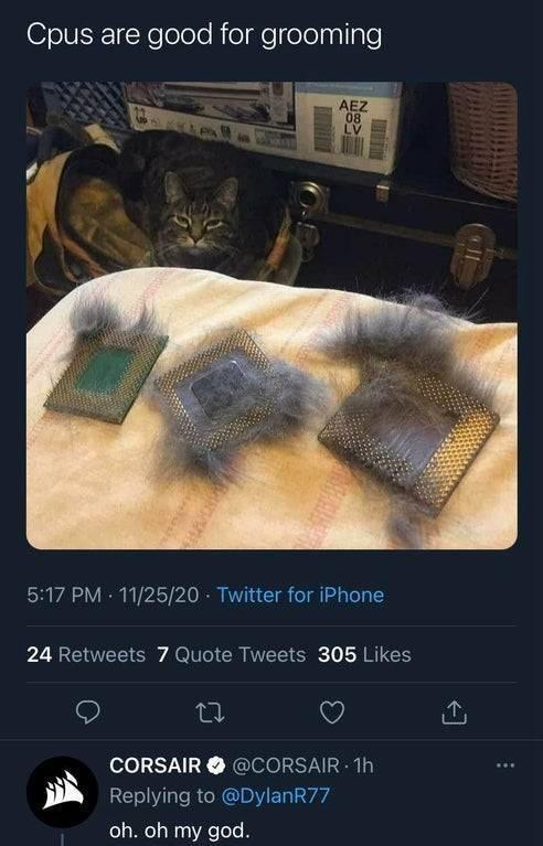 Cpus are good for grooming AEZ 08 LV 5:17 PM 11/25/20 · Twitter for iPhone 24 Retweets 7 Quote Tweets 305 Likes CORSAIR O @CORSAIR 1h Replying to @DylanR77 oh. oh my god.
