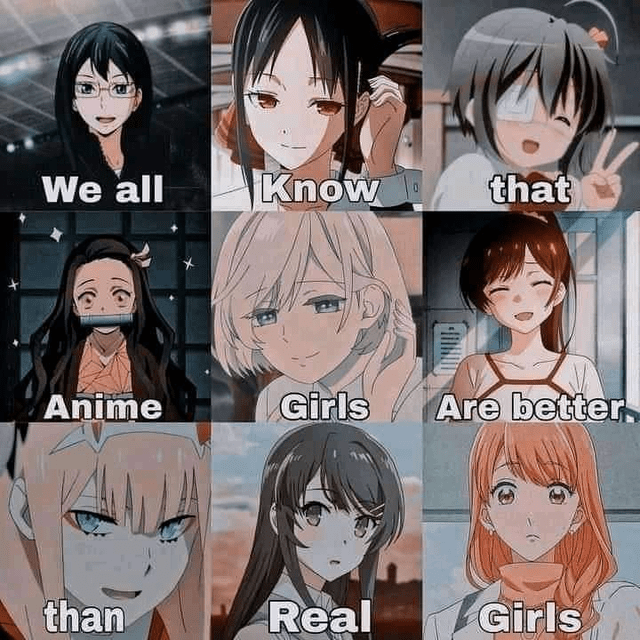 We all Know that Anime Girls Are better. than Real Girls