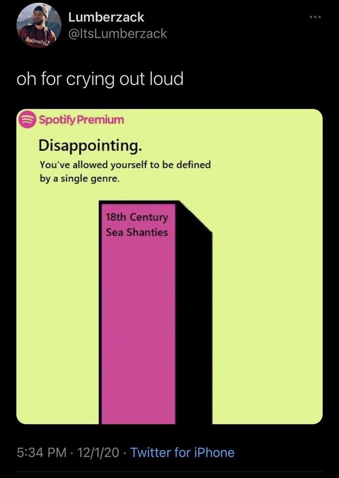Lumberzack @ltsLumberzack Budweis oh for crying out loud Spotify Premium Disappointing. You've allowed yourself to be defined by a single genre. 18th Century Sea Shanties 5:34 PM · 12/1/20 · Twitter for iPhone