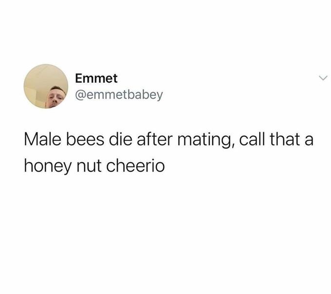 Emmet @emmetbabey Male bees die after mating, call that a honey nut cheerio