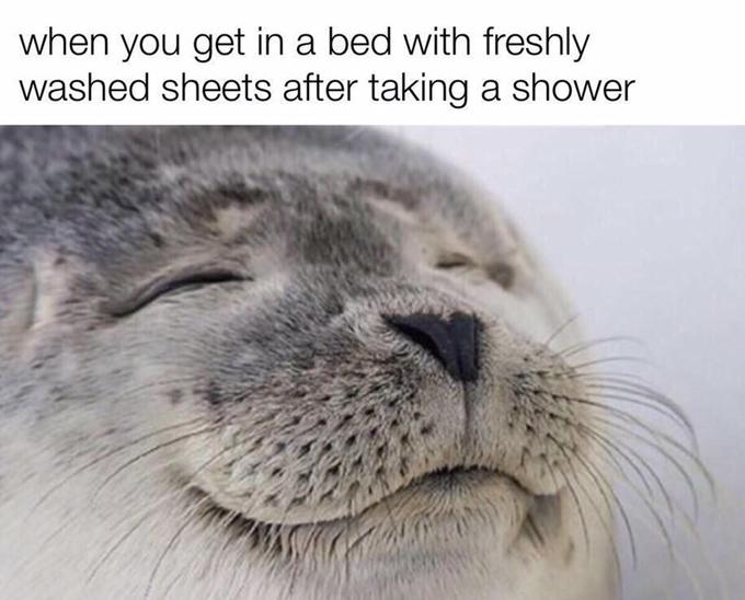 when you get in a bed with freshly washed sheets after taking a shower