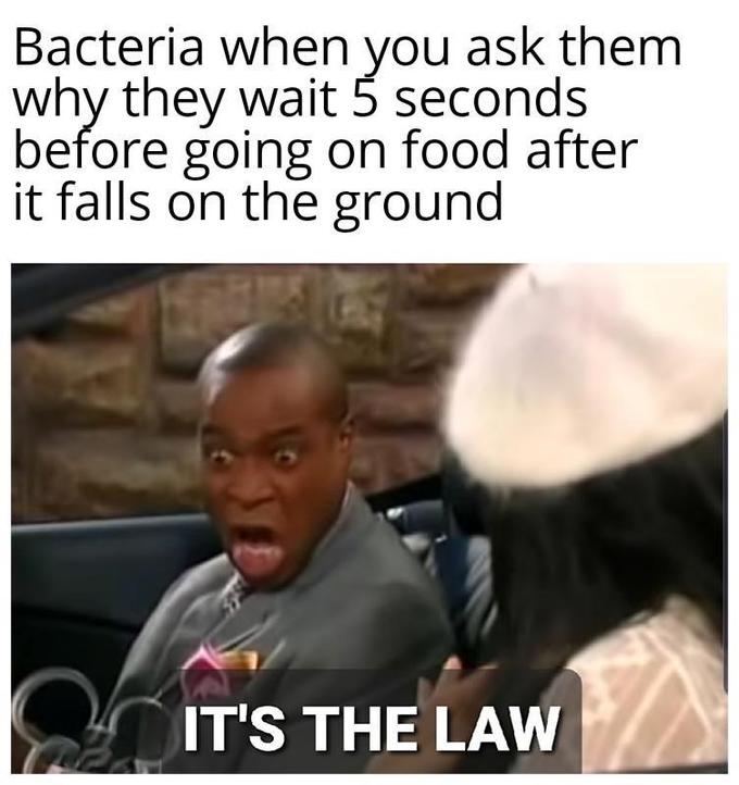 Bacteria when ask them you why they wait 5 seconds before going on food after it falls on the ground IT'S THE LAW