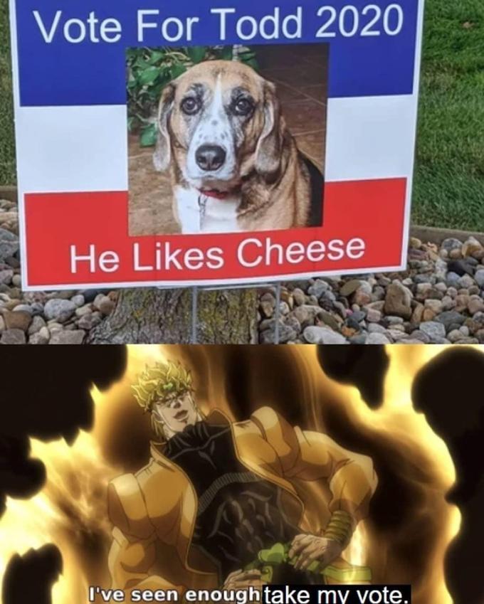 Vote For Todd 2020 He Likes Cheese I've seen enough take my vote.