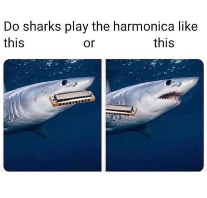 Do sharks play the harmonica like this or this