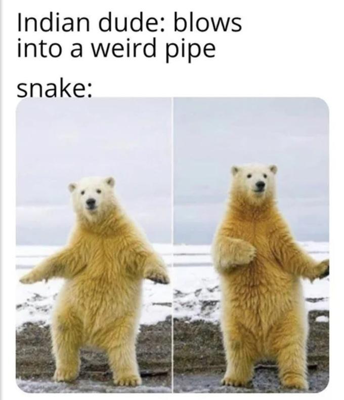 Indian dude: blows into a weird pipe snake: