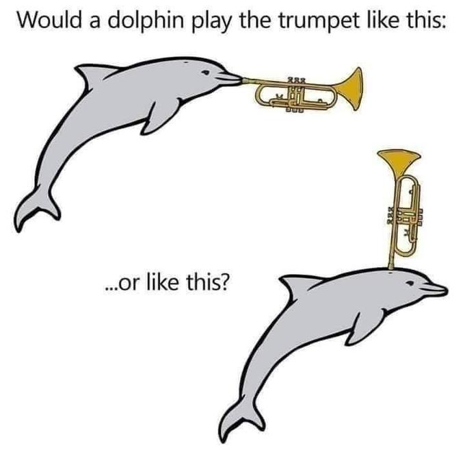 Would a dolphin play the trumpet like this: .or like this?