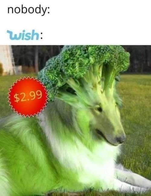 nobody: wish: $2.99