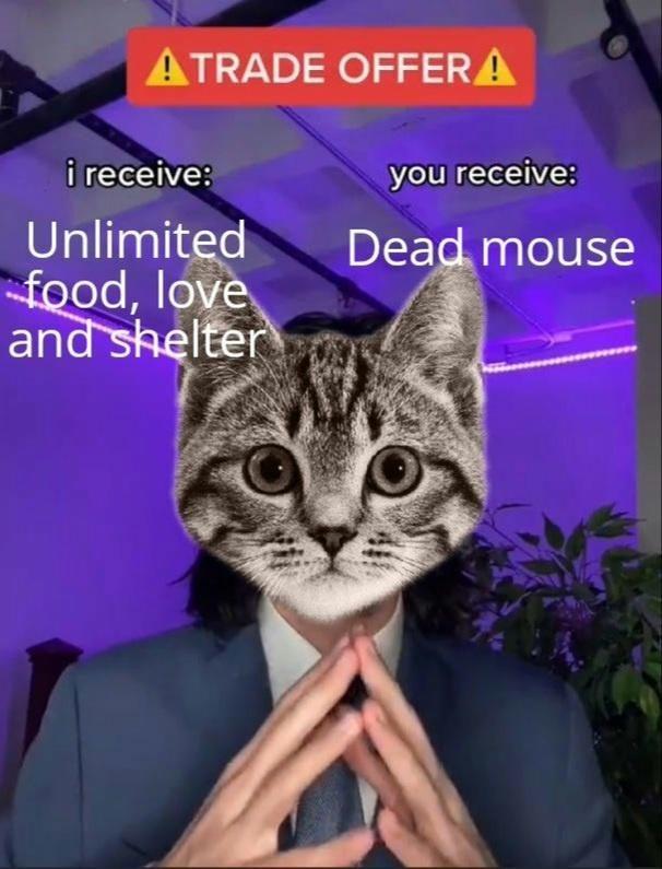 ATRADE OFFERA i receive: you receive: Unlimited food, love and shelter Dead mouse