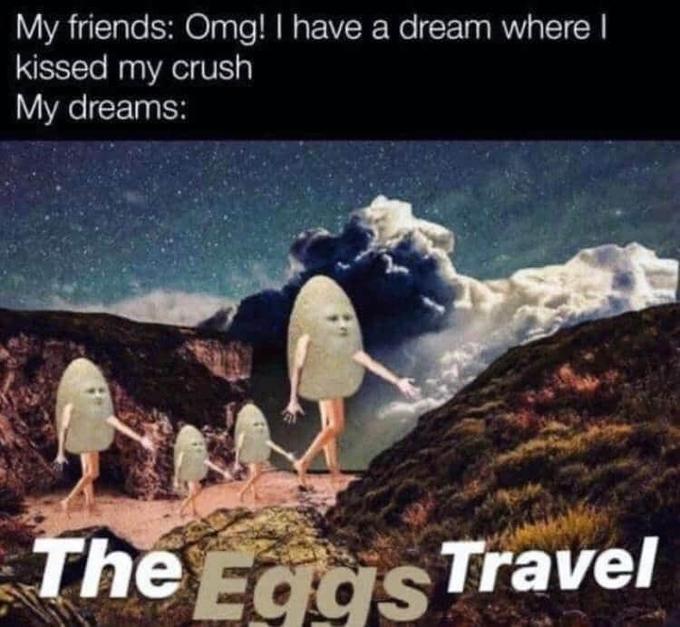 My friends: Omg! I have a dream where I kissed my crush My dreams: The Eaas Travel Eggs!