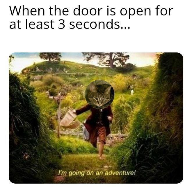 When the door is open for at least 3 seconds... I'm going on an adventure!