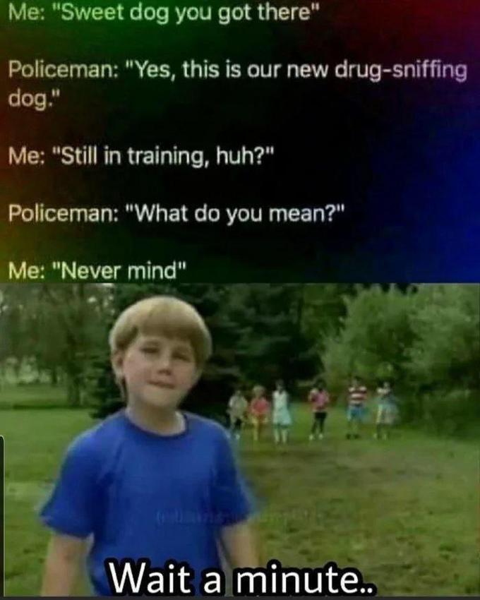 Me: "Sweet dog you got there" Policeman: "Yes, this is our new drug-sniffing dog." Me: "Still in training, huh?" Policeman: "What do you mean?" Me: "Never mind" Wait a minute..