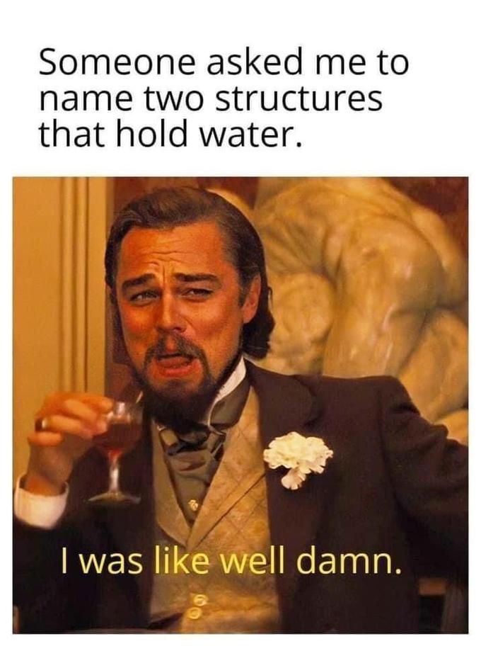 Someone asked me to name two structures that hold water. I was like well damn.