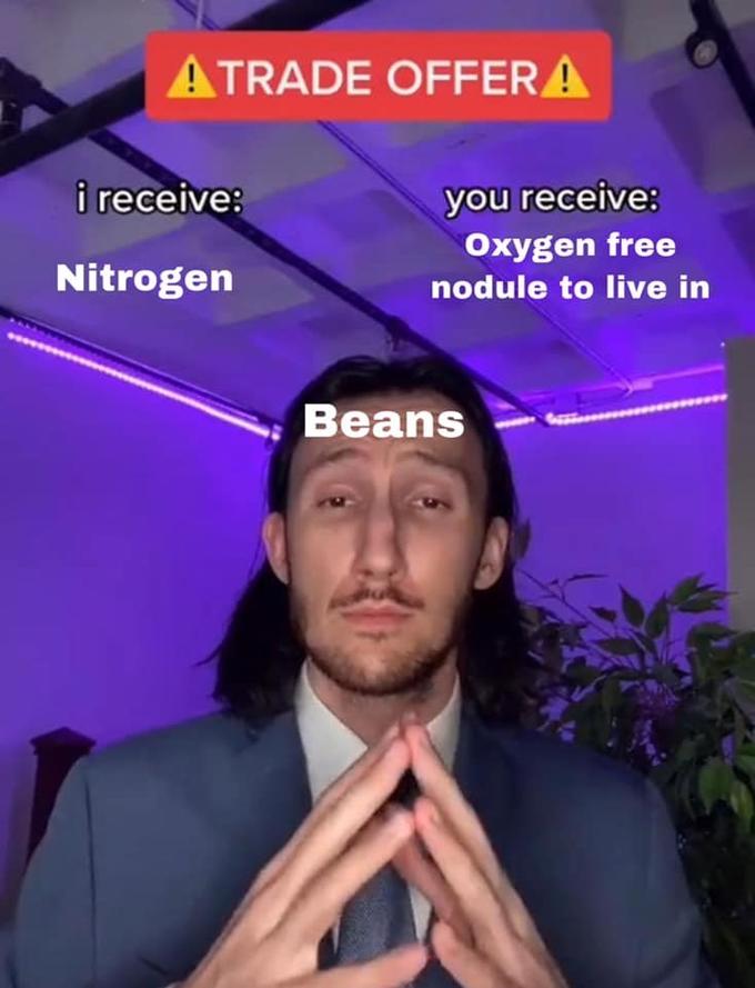 ATRADE OFFER A i receive: you receive: Oxygen free Nitrogen nodule to live in Beans