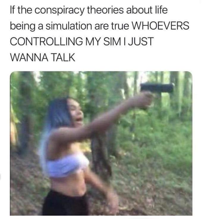 If the conspiracy theories about life being a simulation are true WHOEVERS CONTROLLING MY SIM I JUST WANNA TALK 31