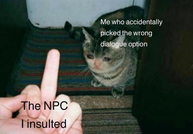 Me who accidentally picked the wrong dialogue option The NPC Tinsulted