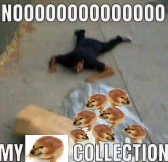 NO0000000000000 MY COLLECTION