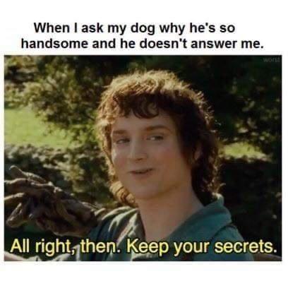 When I ask my dog why he's so handsome and he doesn't answer me. All right, then. Keep your secrets.