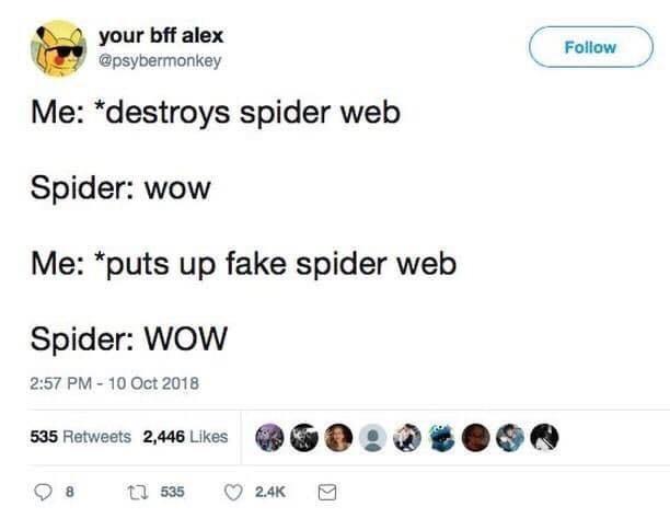 your bff alex Follow @psybermonkey Me: *destroys spider web Spider: wow Me: *puts up fake spider web Spider: WOW 2:57 PM- 10 Oct 2018 535 Retweets 2,446 Likes tI 535 2.4K