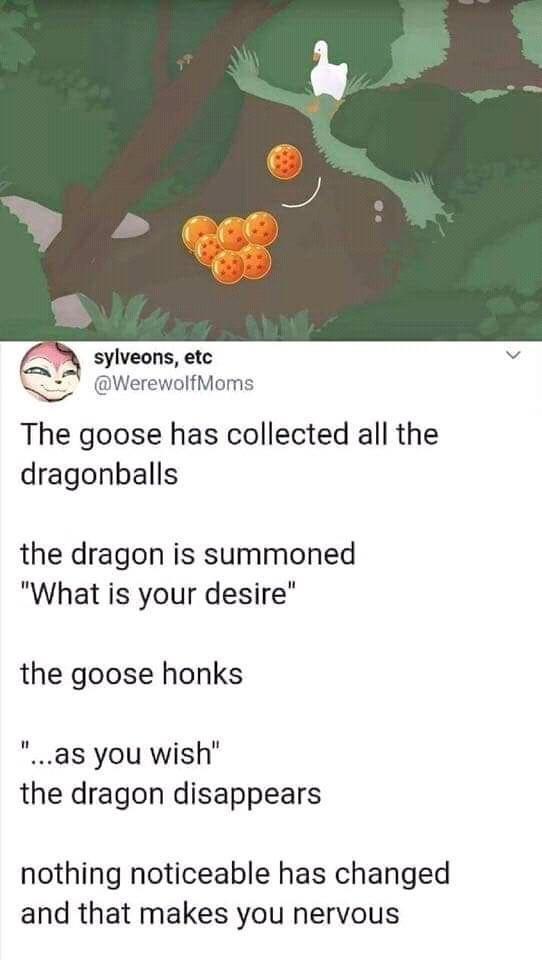 sylveons, etc @WerewolfMoms The goose has collected all the dragonballs the dragon is summoned "What is your desire" the goose honks "...as you wish" the dragon disappears nothing noticeable has changed and that makes you nervous