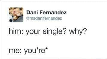 Dani Fernandez @msdanifernandez him: your single? why? me: you're*