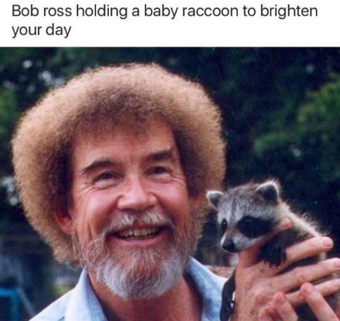 Bob ross holding a baby raccoon to brighten your day