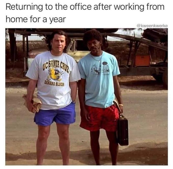 Returning to the office after working from home for a year @kweenkwerke SANTA CRUZ BANANA SLUGS