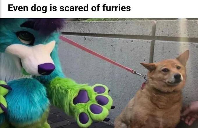 Even dog is scared of furries