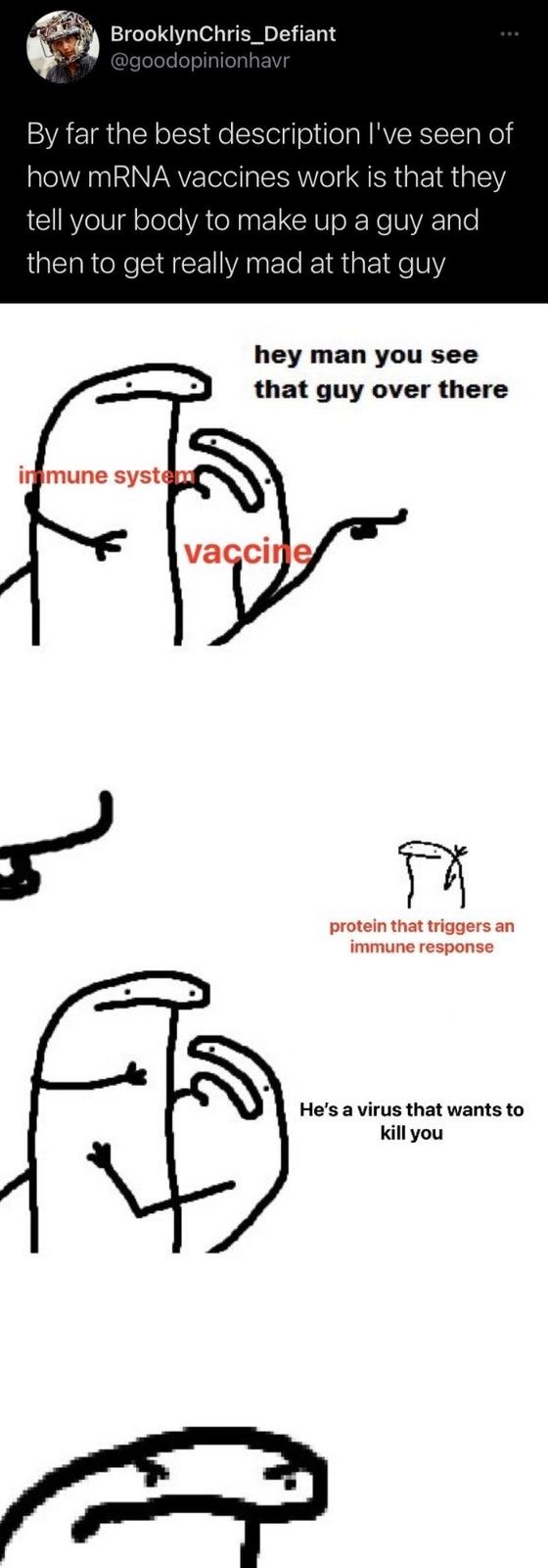 BrooklynChris_Defiant @goodopinionhavr By far the best description l've seen of how MRNA vaccines work is that they tell your body to make up a guy and then to get really mad at that guy hey man you see that guy over there immune system vaccine protein that triggers an immune response He's a virus that wants to kill you