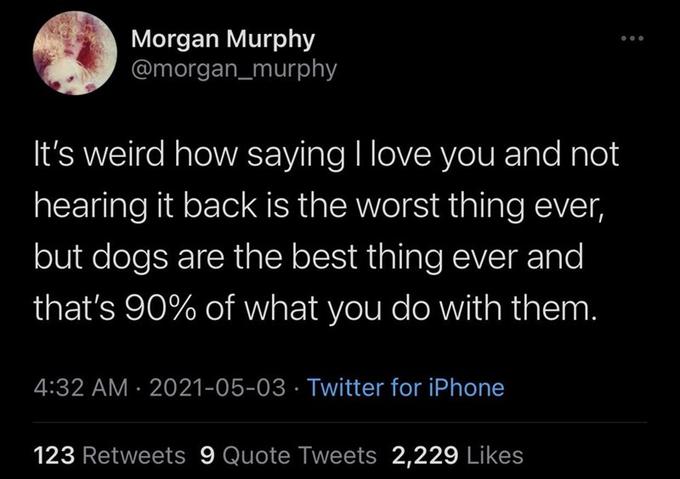 Morgan Murphy @morgan_murphy It's weird how saying I love you and not hearing it back is the worst thing ever, but dogs are the best thing ever and that's 90% of what you do with them. 4:32 AM · 2021-05-03 · Twitter for iPhone 123 Retweets 9 Quote Tweets 2,229 Likes