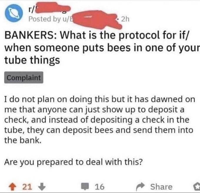 r/ Posted by u/E 2h BANKERS: What is the protocol for if/ when someone puts bees in one of your tube things Complaint I do not plan on doing this but it has dawned on me that anyone can just show up to deposit a check, and instead of depositing a check in the tube, they can deposit bees and send them into the bank. Are you prepared to deal with this? 21 16 Share
