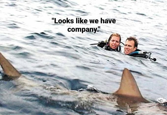 "Looks like we have company."