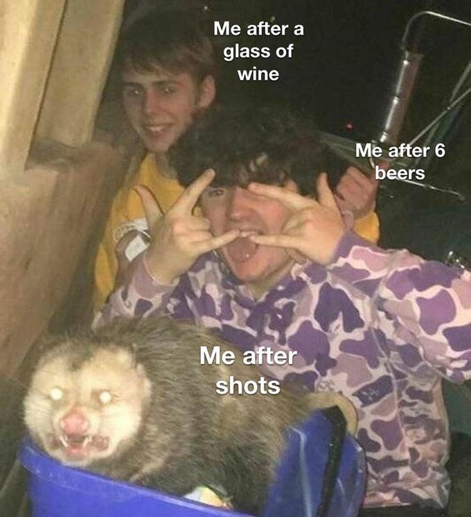 Me after a glass of wine Me after 6 beers Me after shots