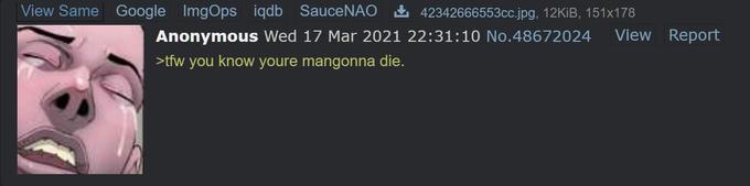 View Same Google ImgOps iqdb SauceNAO Ł 42342666553cc.jpg, 12KİB, 151x178 Anonymous Wed 17 Mar 2021 22:31:10 No.48672024 View Report >tfw you know youre mangonna die.