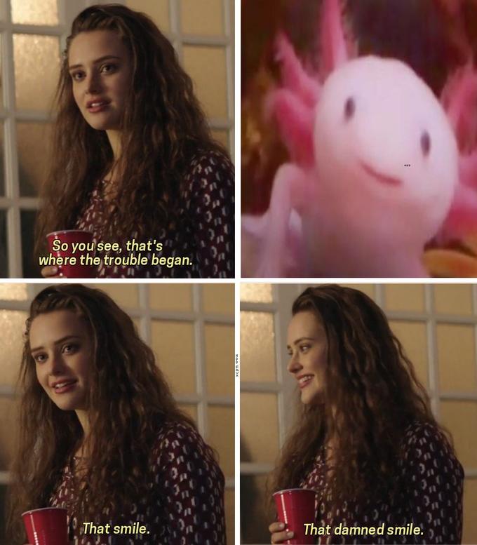 So you see, that's where the trouble began. That smile. That damned smile.